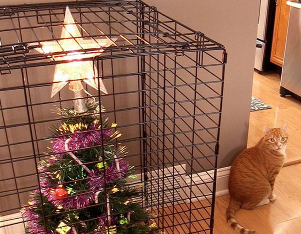 Catproof! 10 lustige Ideen, wie Tierbesitzer ihren Weihnachtsbaum vor Fellnasen schützen