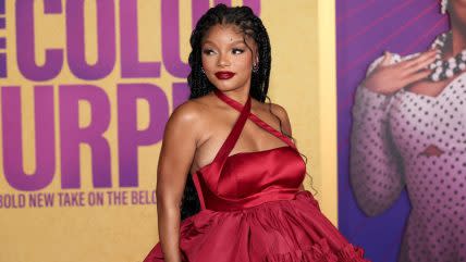 Halle Bailey pregnancy, Is Halle Bailey pregnant?, Is Hailey pregnant Little Mermaid?, Did Halle Baileuy have a baby?, Halle Bailey pregnant TikTok, Halle Bailey baby bump, Halle Bailey maternity shoot theGrio.com