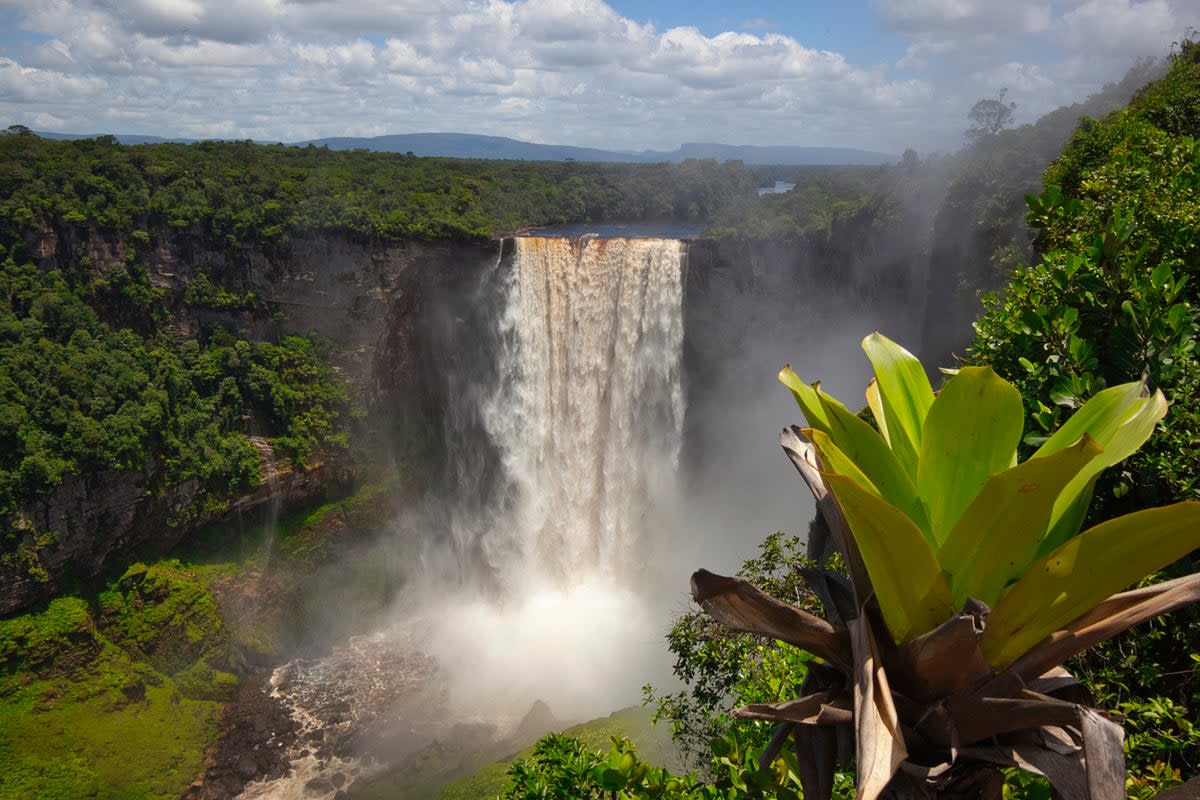 Kaieteur falls Guyana, South America  (Getty Images)