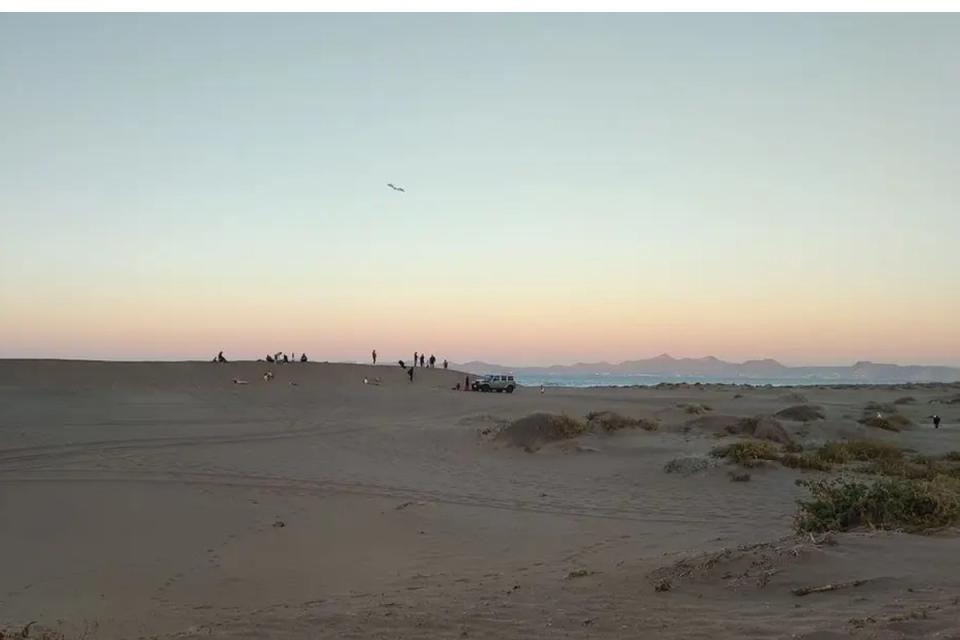 Personas haciendo sandboarding en las dunas de El Mogote. Fuente: Daniela Reyes