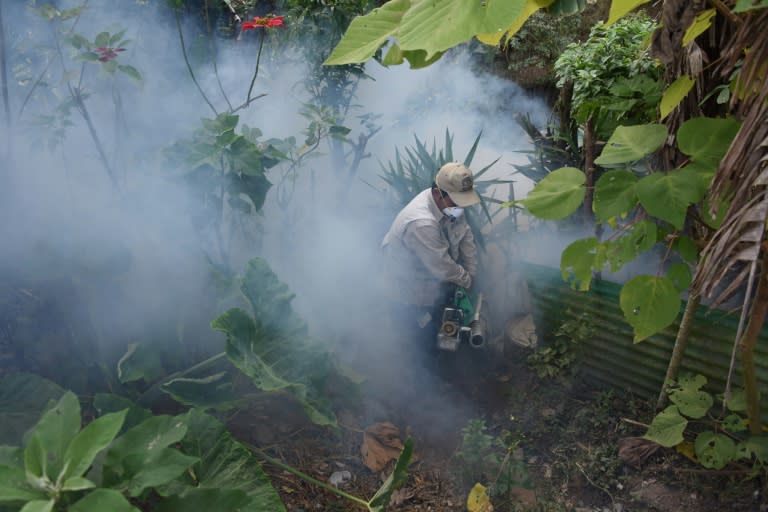 Health Ministry employees fumigate against the Aedes aegypti mosquito, vector of the dengue, Zika and Chikungunya viruses in Guatemala City