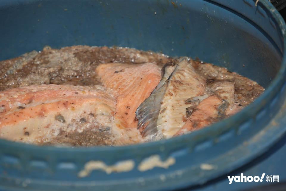 利用三文魚骨發酵成「魚肥」，代替過往施肥的「魚粉」。