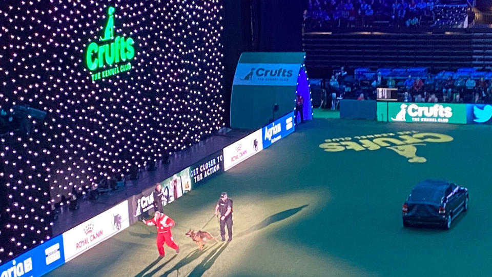 Police Dog Demo at Crufts 2023