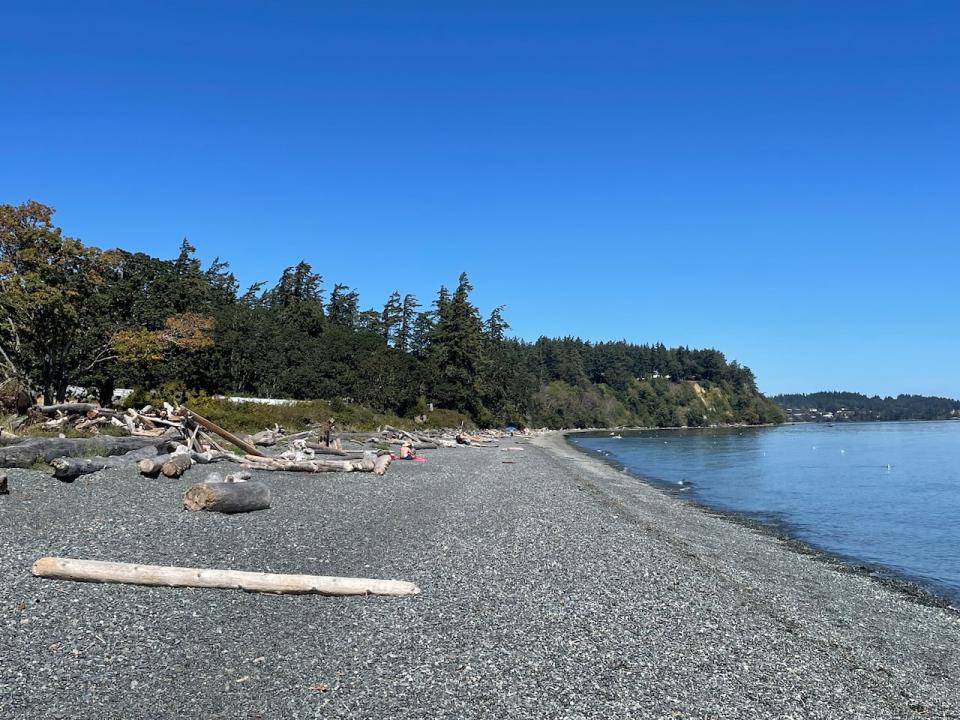 Emergency responders were called to Taylor Beach in Metchosin after witnesses reported some people in medical distress. Responders found a vehicle in the parking area with all the doors open. Four people were lying on the ground nearby.