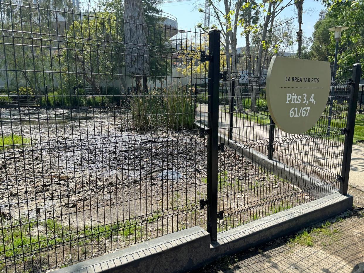 Asphalt behind a black metal fence with a sign that says La Breat Tar Pits, Pits 3, 4, 61/67