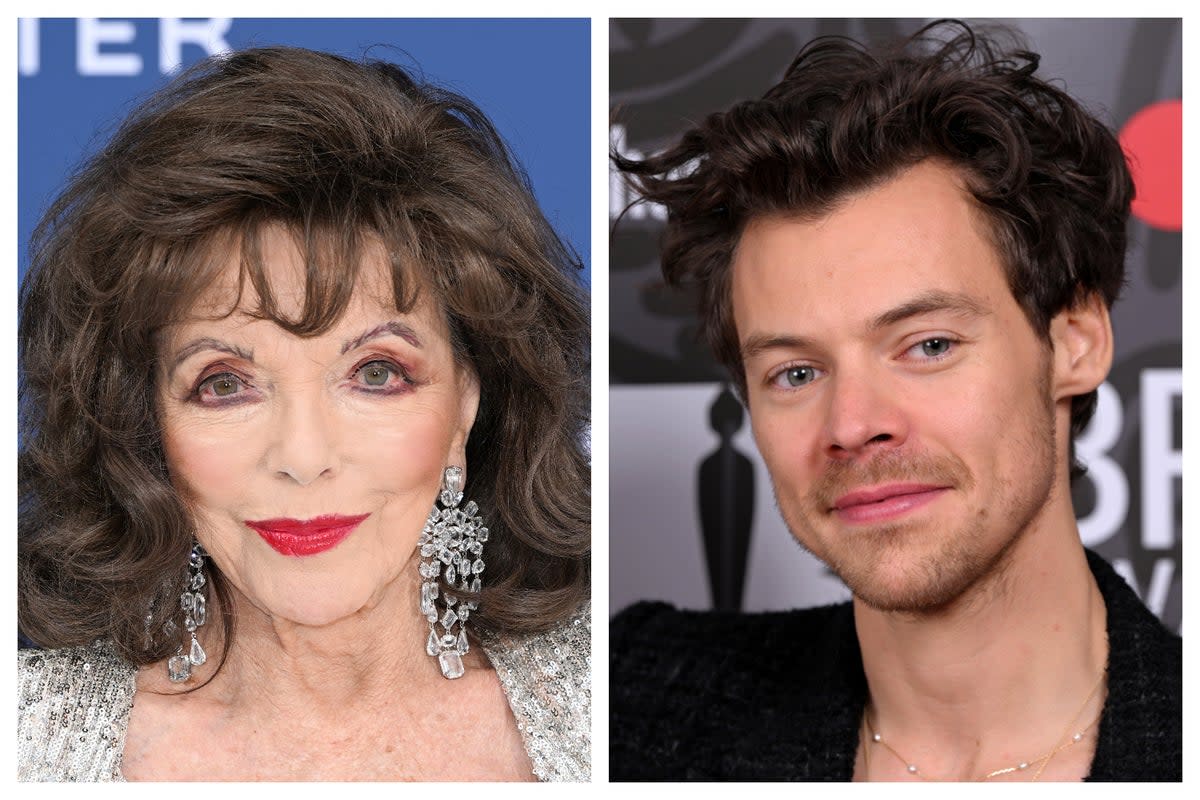 Dame Joan Collins recalled asking Harry Styles to stop ‘obscuring’ her view of Cher (Getty)