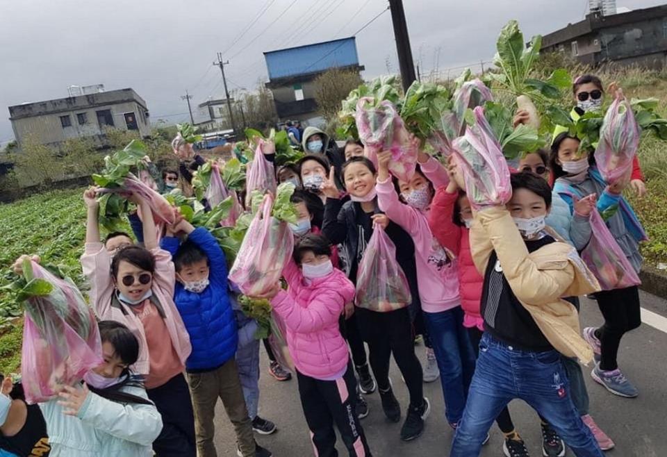 時值白蘿蔔產期，三芝「蕃婆林休閒農場」推出民眾預約拔蘿蔔體驗活動。（記者吳瀛洲攝）