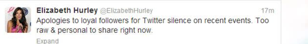 @ElizabethHurley breaks her Twitter silence. Photo: Twitter