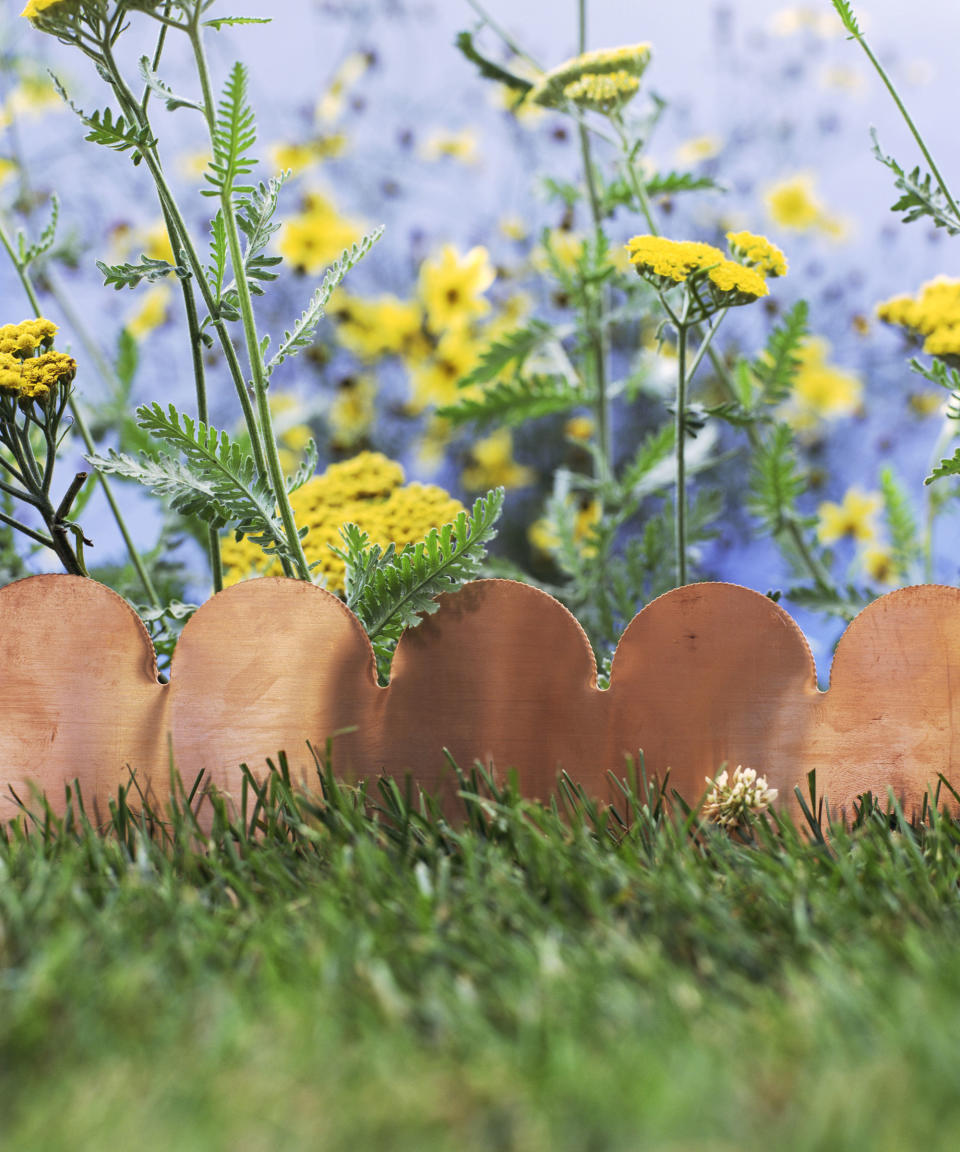 terracotta lawn edging