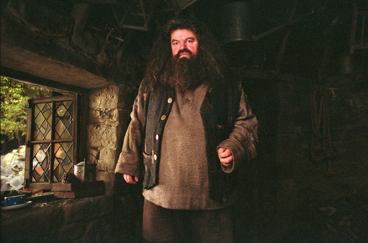 Harry Potter star Robbie Coltrane appears in wheelchair as he battles 'constant pain' of osteoarthritis