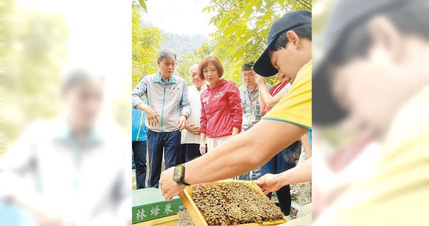 民進黨立委何欣純16日下午邀農業部代理部長陳駿季前往台中市太平區，了解蜂農受損情形。（圖／中國時報王煌忠攝）