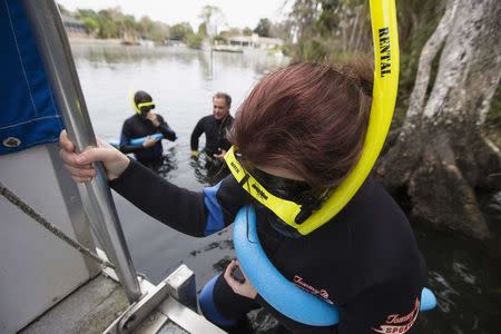Gina Hall climbs down the dive ladder on her way to snorkel in the Three Sisters Springs in Crystal River, Florida January 15, 2015. REUTERS/Scott Audette