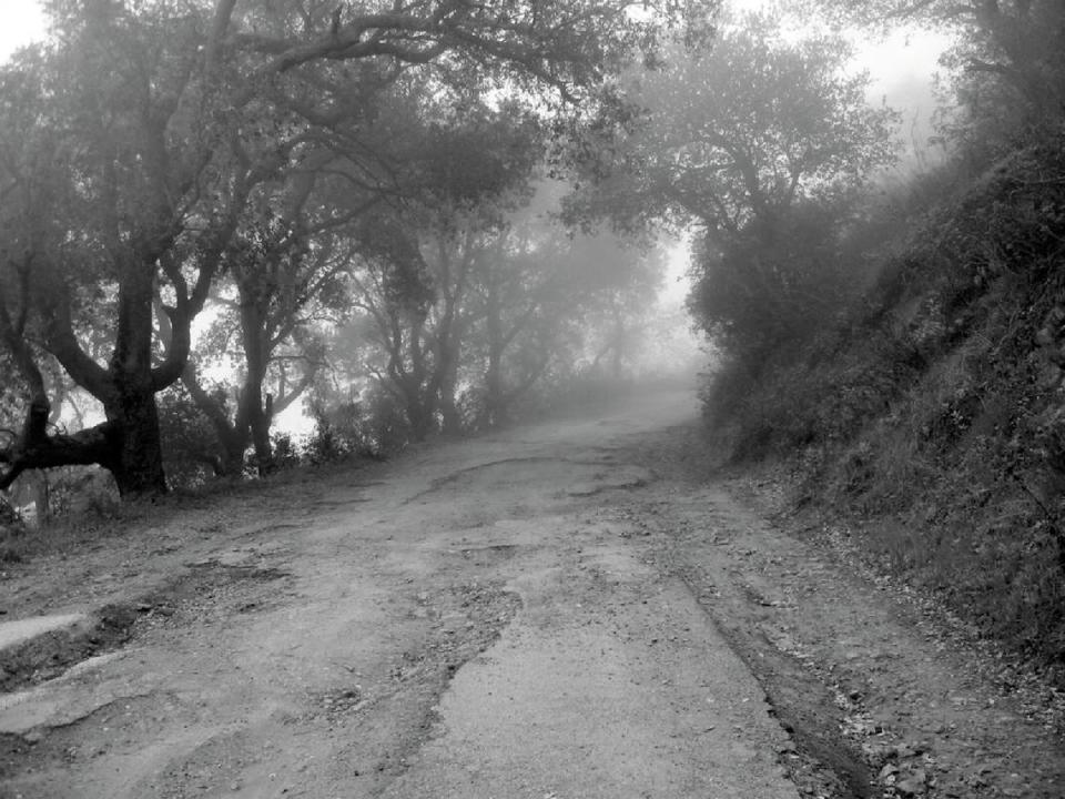 The first graded road over the Cuesta was constructed by Chinese laborers in 1877. It’s still passable, as shown in this photo taken after this past week’s rains.