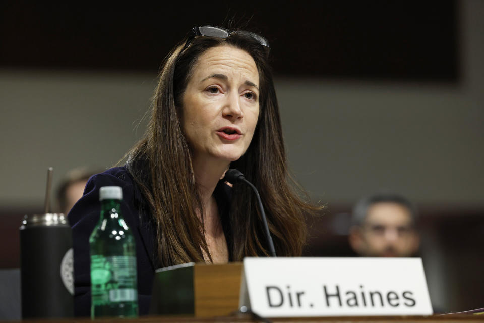 Avril Haines speaks during a Senate hearing at the Capitol (Anna Moneymaker / Getty Images)