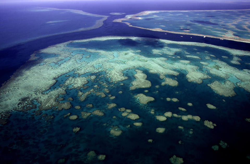 Image: The Great Barrier Reef, Queensland, Australia (TonyFeder / iStockphoto/Getty Images)