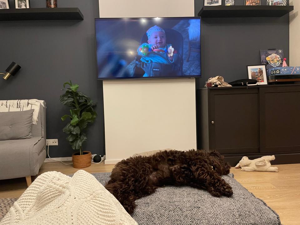 Living room with TV on and dog sitting on cushion.