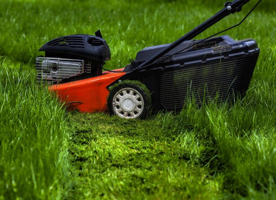 <body><p>Want to keep your lawn looking luxurious all summer long? Then cut it and <a rel="nofollow noopener" href=" http://www.bobvila.com/articles/2469-how-to-mow-your-lawn-properly/?bv=yahoo" target="_blank" data-ylk="slk:cut it often;elm:context_link;itc:0;sec:content-canvas" class="link ">cut it often</a>. For the strongest, healthiest grass, you'll want to cut no more than one third off the top each time you mow. That means adjusting the blade height when necessary and never allowing the grass to grow too long. For most regions, mowing every few days in the summertime is just about the right amount.</p></body>