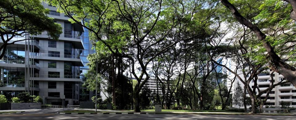 Cuscaden Road GLS site, which sits between 3 Orchard-by-the-Park and Park House