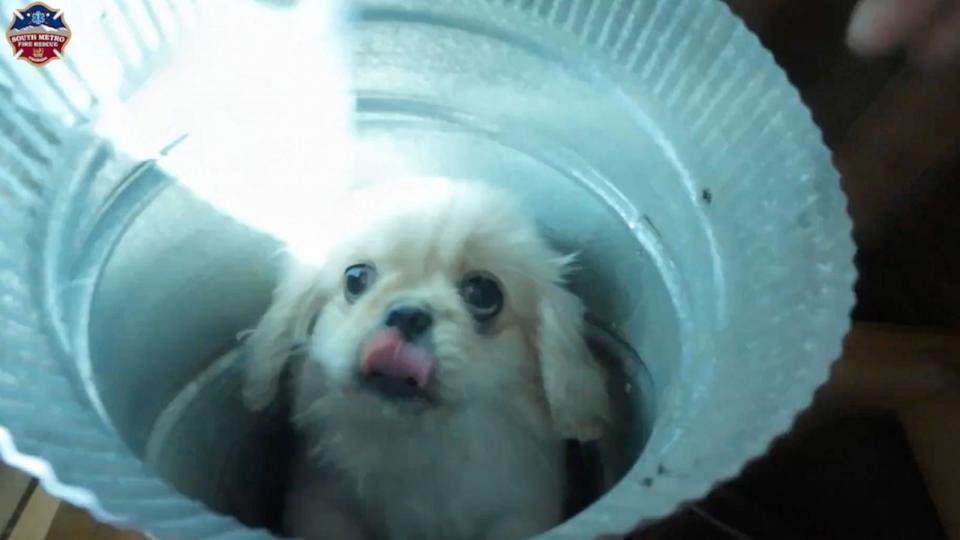 PHOTO: Incredible Puppy Rescue Caught on Camera in Colorado, Dog fell through open air vent (Courtesy South Metro Fire)