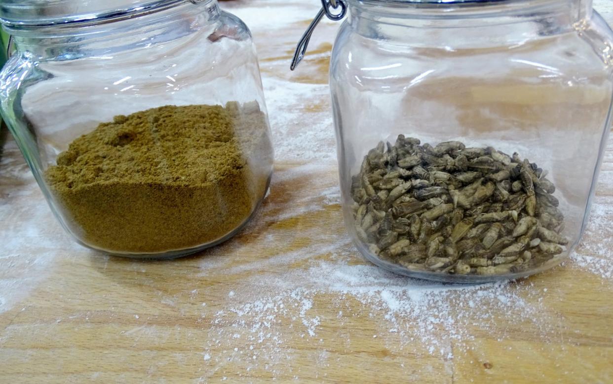 Flour ground from dried crickets is mixed into the dough to give the bread a crunchy finish - REUTERS