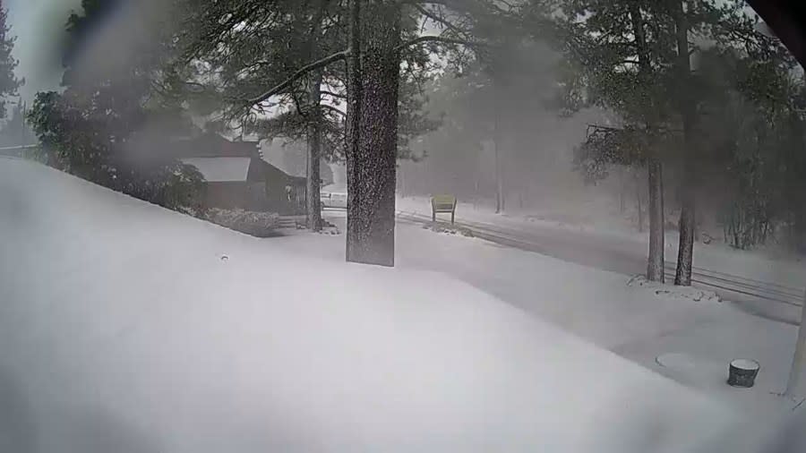 Snow starting to blanket the Laguna Mountain Lodge at 12:36 p.m. on Jan. 3, 2024. (Courtesy of Laguna Mountain Lodge)