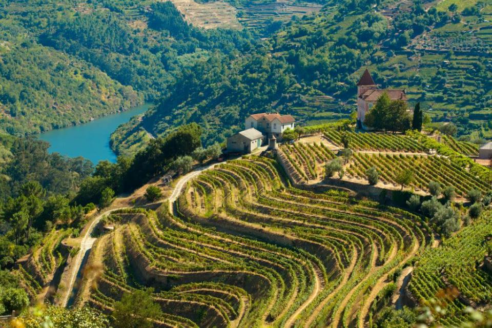 <b>DOURO, PORTUGAL </b><br>Douro is a wine region in Portugal that takes its name from the Douro River. It is one of the earliest known winemaking regions of the world and historical evidence shows that its tradition dates back at least to the 3rd and 4th centuries.