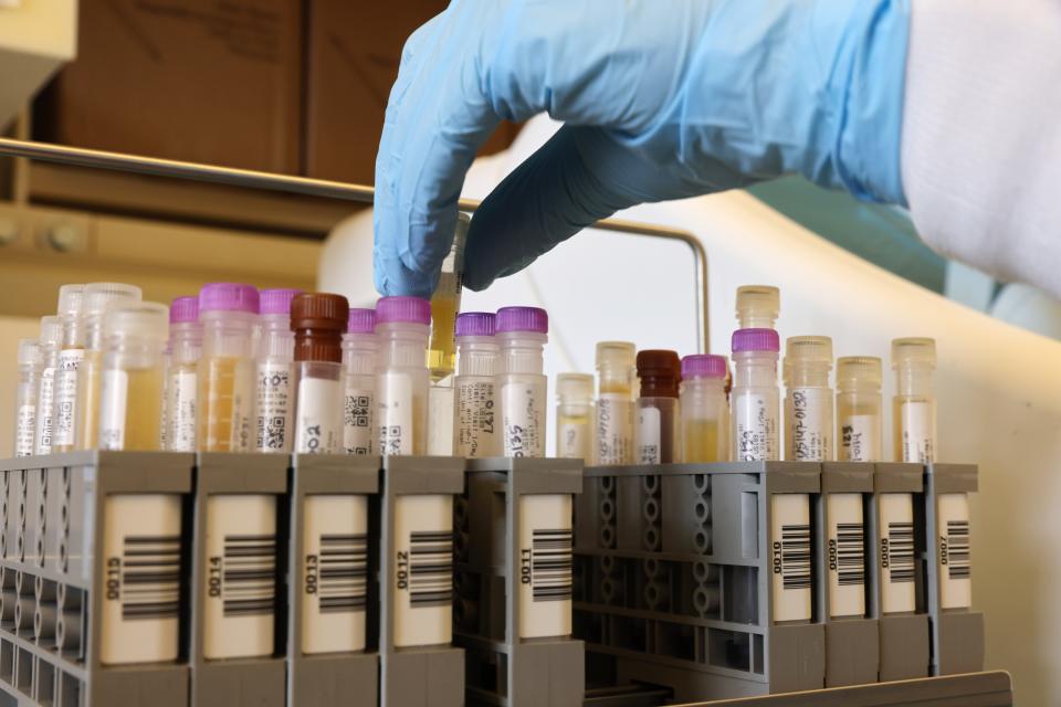Researchers at the UW Medicine Retrovirology Research Lab at Harborview Medical Center work on samples from the Novavax phase 3 COVID-19 clinical vaccine trial.