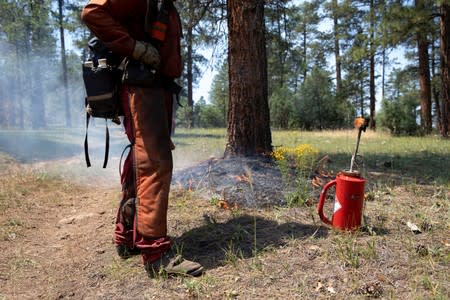 A firefighter stands by after igniting the grass to extend a burn line during a controlled burn north of Gallina