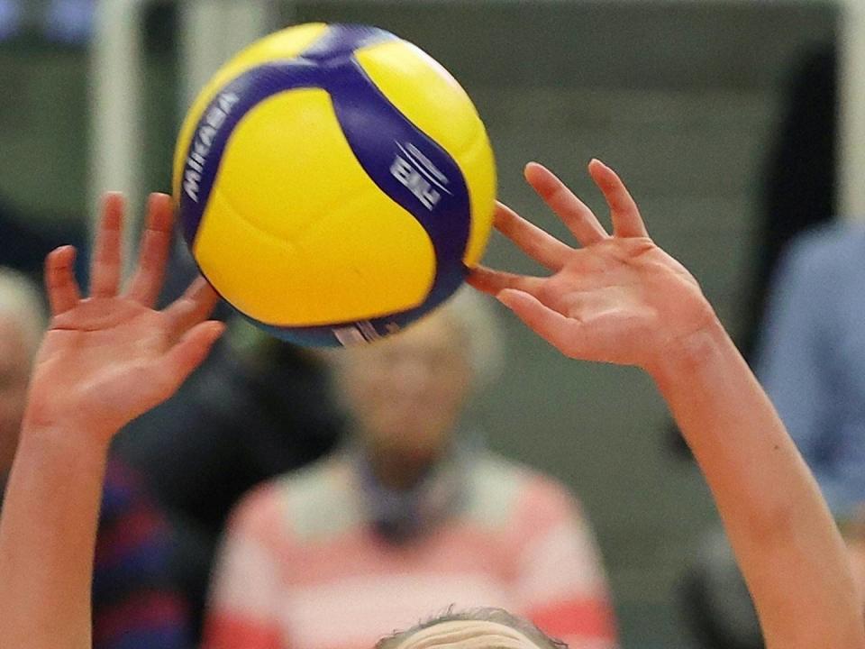 Volleyball: DVV beruft hauptamtlichen Vorstand