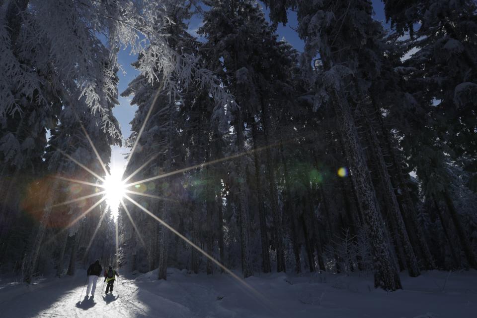 Skiing near Strasbourg