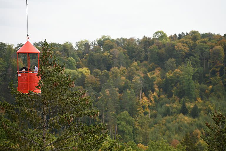 En un centro de vigilancia forestal cerca de Hölstein, Suiza, los científicos utilizan una grúa para hacer mediciones que documentan la respuesta de los árboles a los cambios ambientales