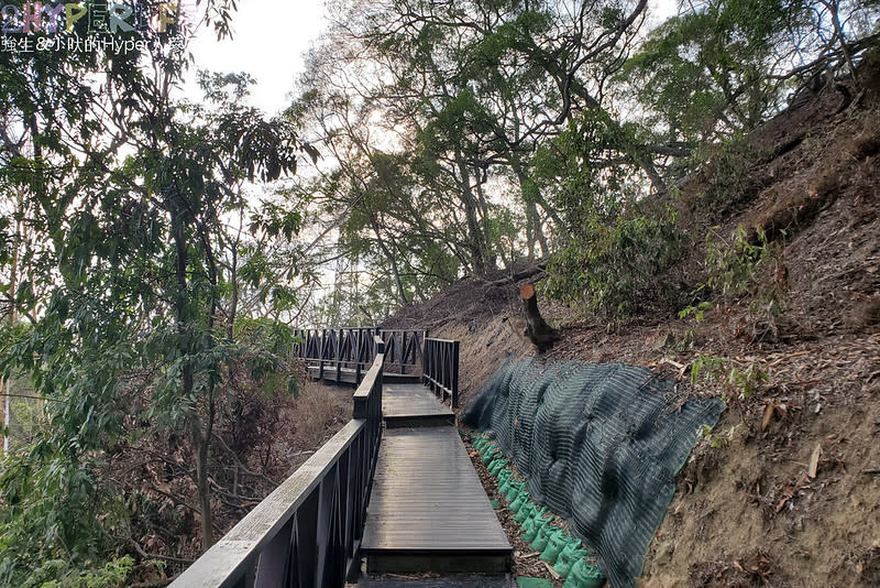 台中大坑六號七號登山步道