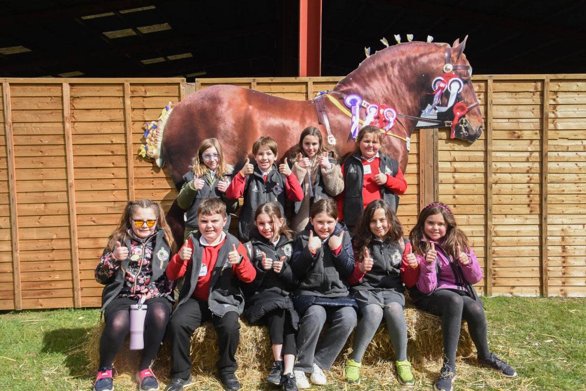 Children at the Suffolk School Farm and Country Fair at Trinity Park, Ipswich <i>(Image: Charlotte Bond)</i>