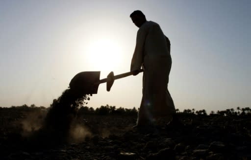 Around a third of Iraqis rely on agriculture for their income, with the government subsidising seeds and guaranteeing to buy part of the harvest