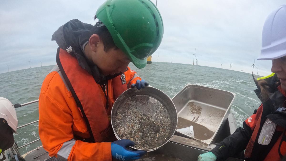 Scientists explore impact of offshore wind farms on seabed