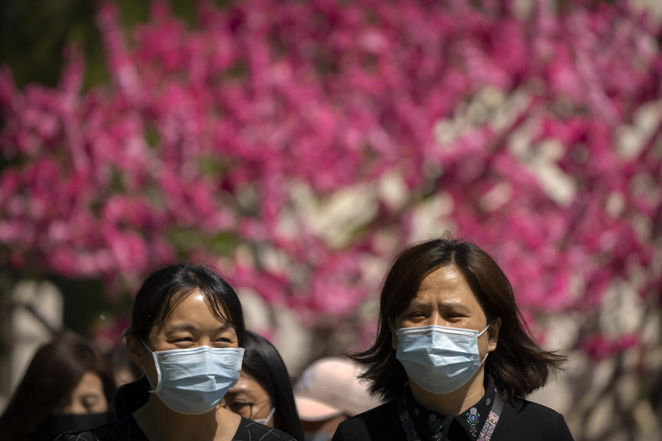 People wearing face masks walk near blossoming trees at a public park in Beijing, Thursday, April 14, 2022. (AP Photo/Mark Schiefelbein)
