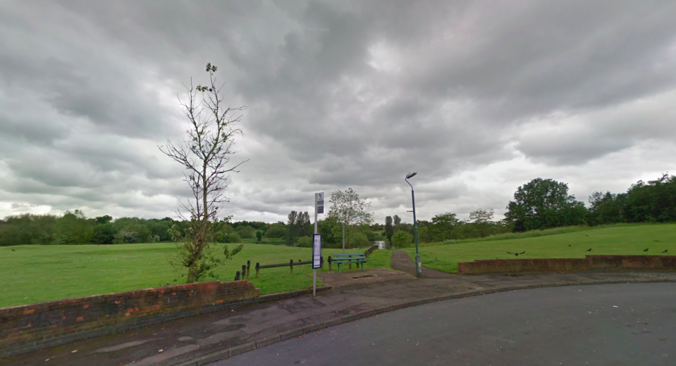 <em>The girl was attacked in Babbs Mill Park in Solihull (Google)</em>