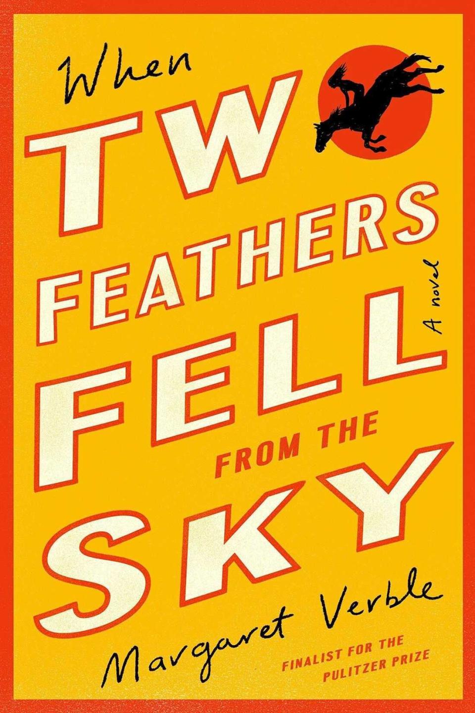 25) <i>When Two Feathers Fell from the Sky</i> by Margaret Verble