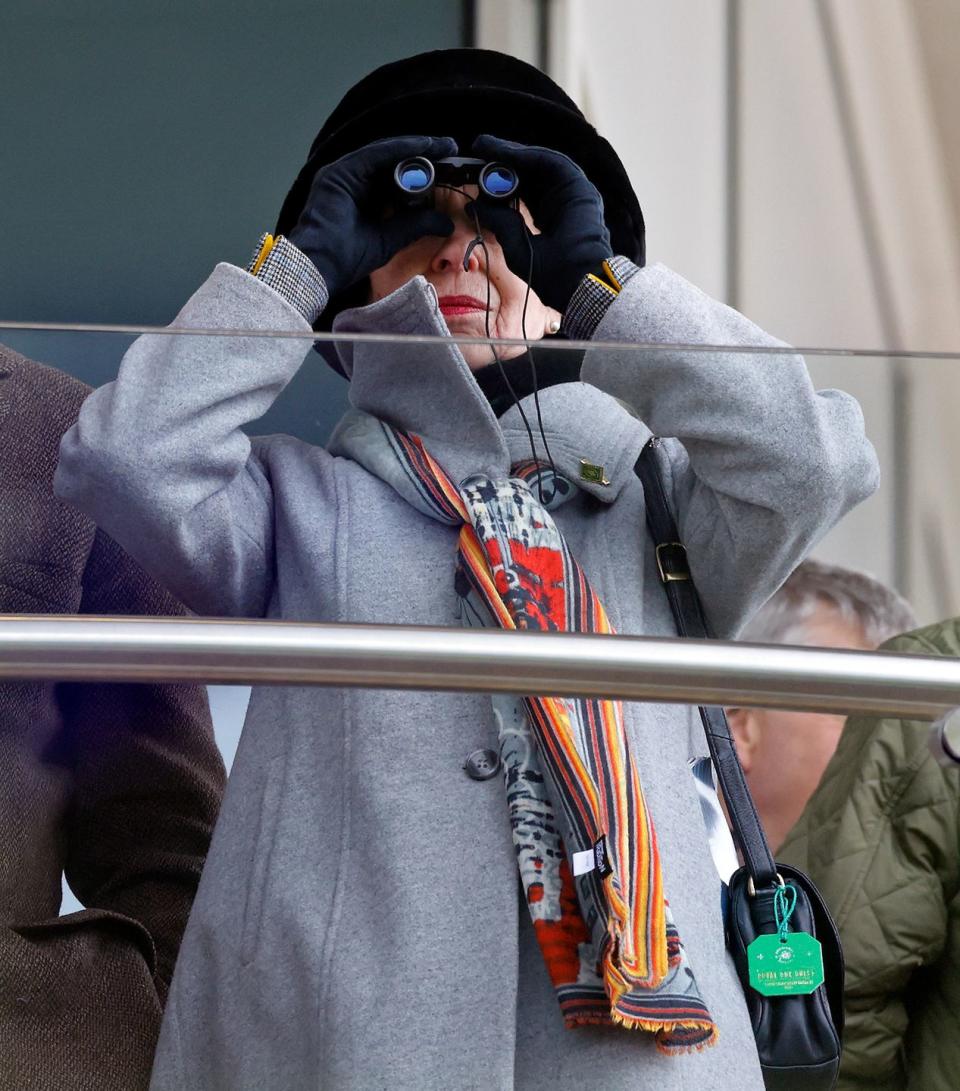 <p>The Princess watched the racing through binoculars as she attended the Cheltenham Festival at Cheltenham Racecourse.</p>