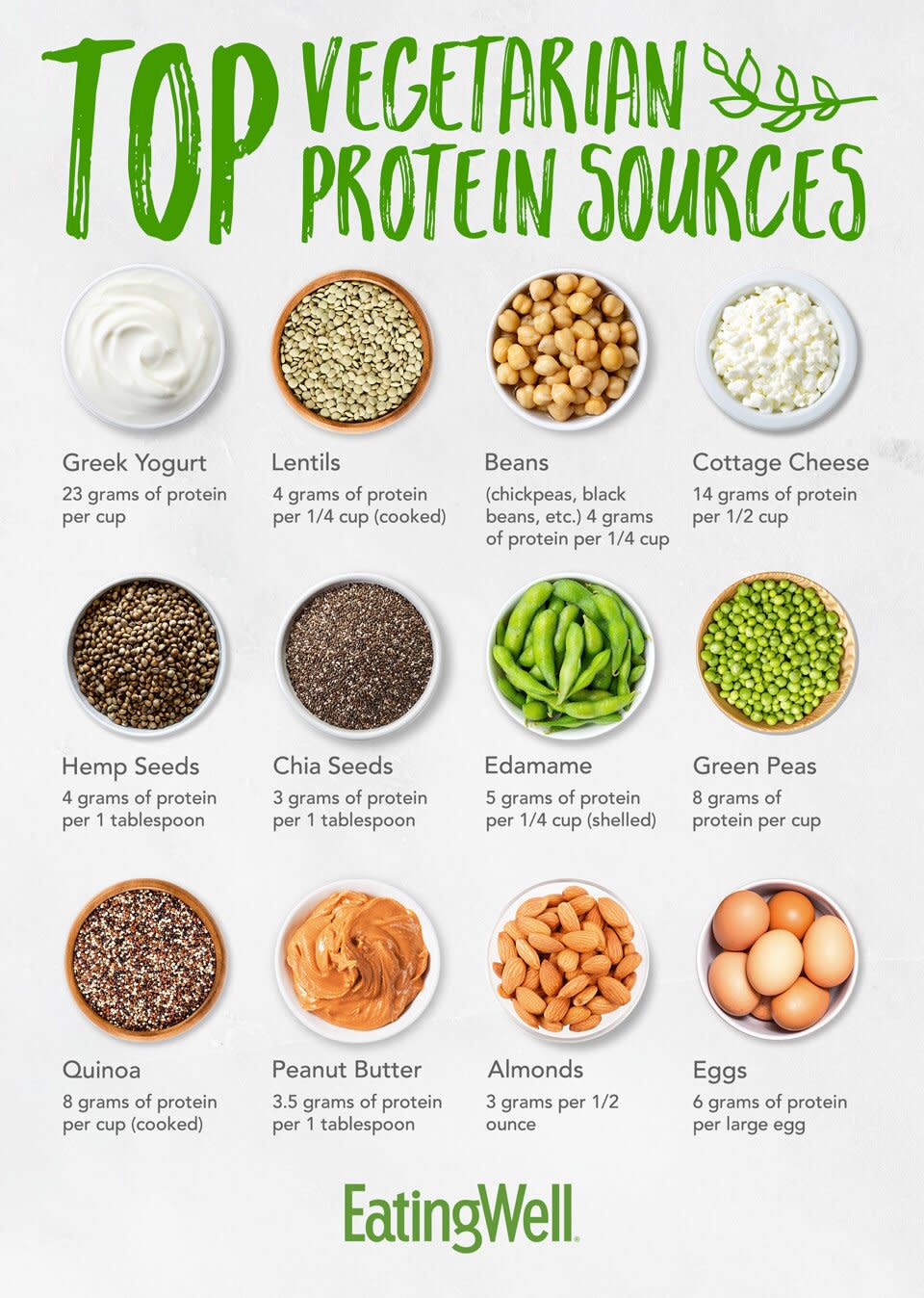 vegetarian protein infographic