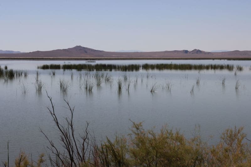 In the middle of the desert region is a nature reserve with plenty of water: Stillwater National Wildlife Refuge. Verena Wolff/dpa