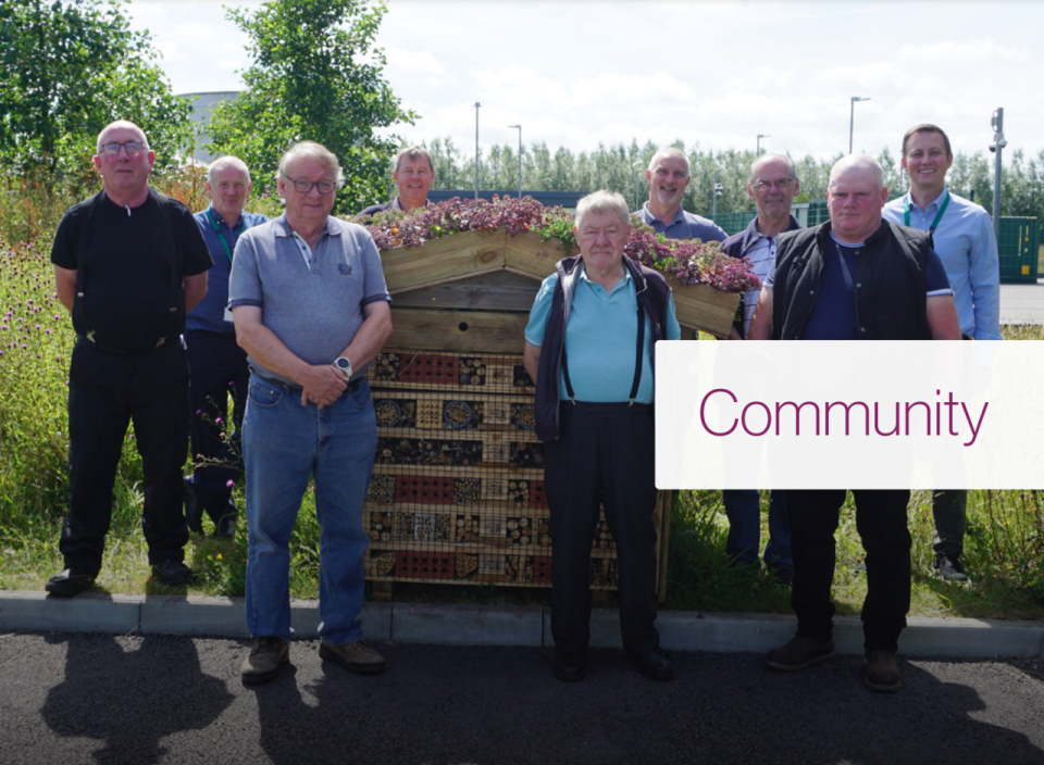 The Coosan Men's Shed crew is a community workshop focused on woodworking, gardening and friendship. In partnership with Jazz Athlone employees, they built a bee hotel to provide a nesting space for various species of bees, which contribute to thriving flowers and vegetation around the site.