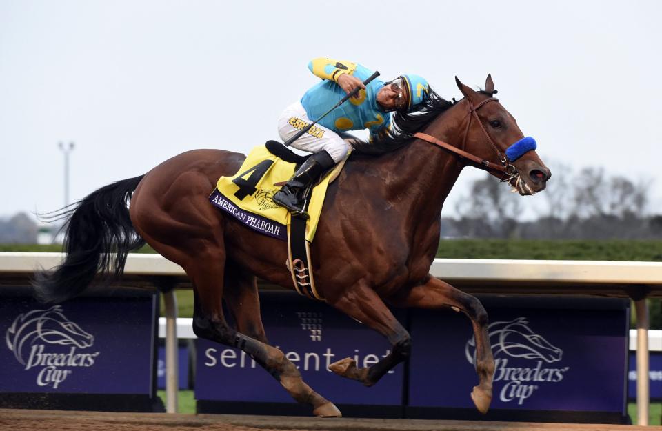 american pharoah