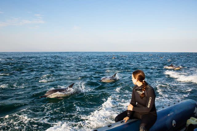 <p>Mark Ziembicki/Courtesy of andBeyond</p> The author and a pod of common dolphins during the sardine run.