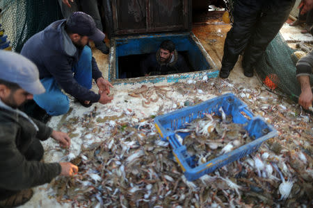 Fishermen unload their catch at the seaport of Gaza City, after Israel expanded fishing zone for Palestinians April 2, 2019. REUTERS/Suhaib Salem