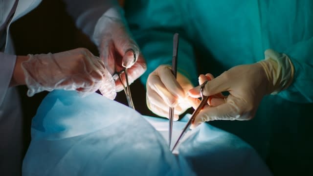 Hands close-up of surgeons holding medical instruments.