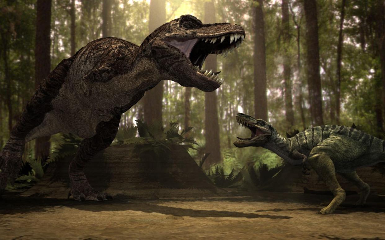 Tyrannosaurus (left) and a Nanotyrranus engaged in battle - Television Stills