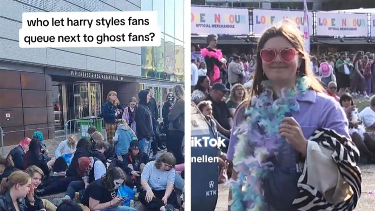  ghost fans and harry styles fans 