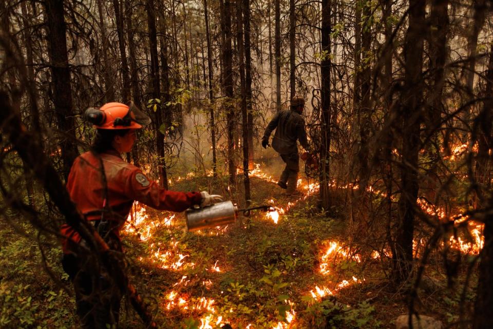 A firefighter with the British Columbia Wildfire Service (left) works with a colleague from an Alaska smoke jumper unit to set a planned ignition to help contain a fire burning near a highway in northern British Columbia, Canada on July 11, 2023. 