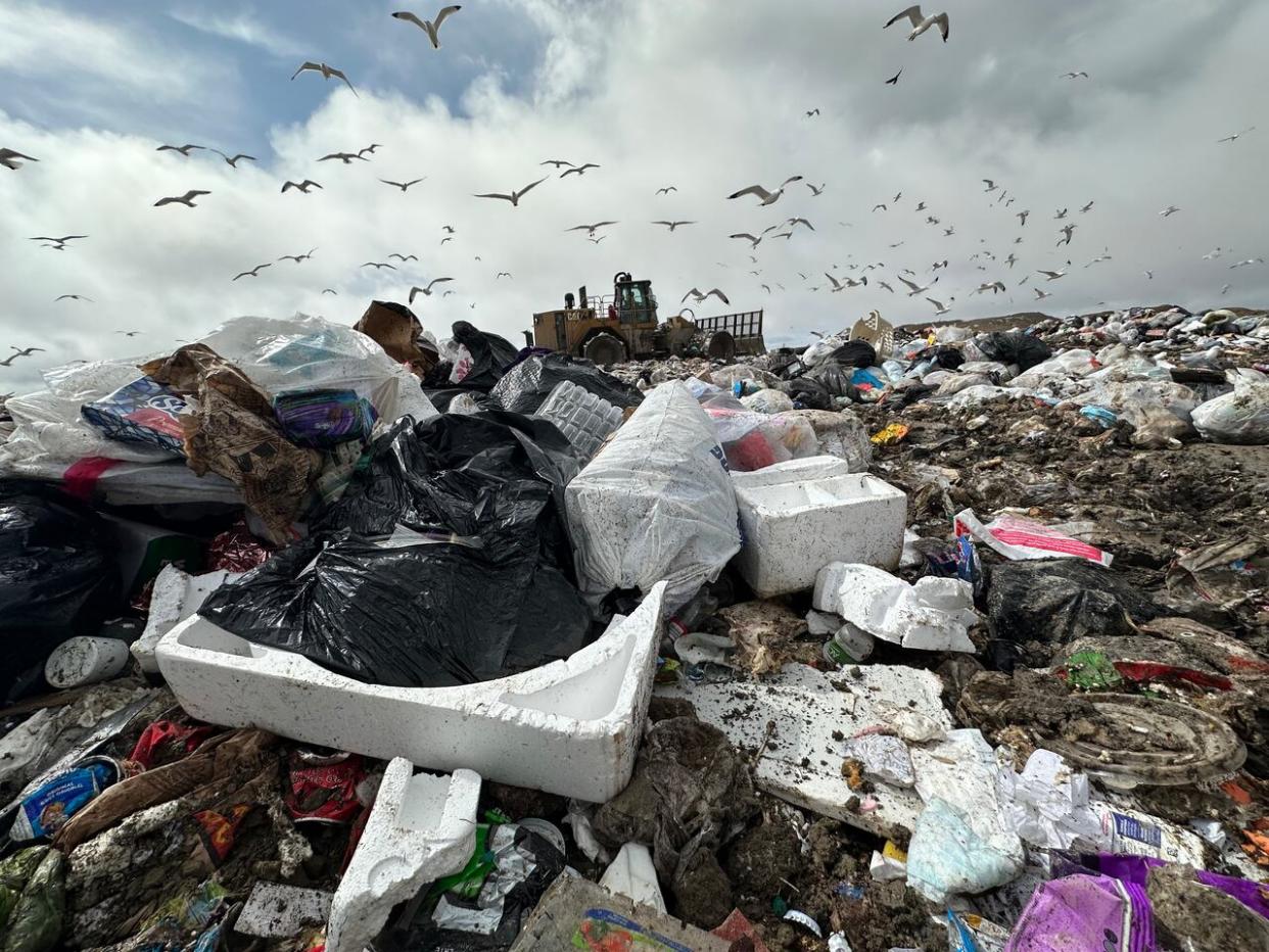 The City of Calgary hopes residents will help it to divert Styrofoam from its landfills by taking part in a new pilot project to recycle the material. (James Young/CBC - image credit)